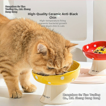 Κεραμικό μπολ για γάτες για φαγητό και νερό, με ανυψωμένη βάση για σταθερότητα και κεκλιμένο χείλος για άνεση — σετ 2 τεμάχια