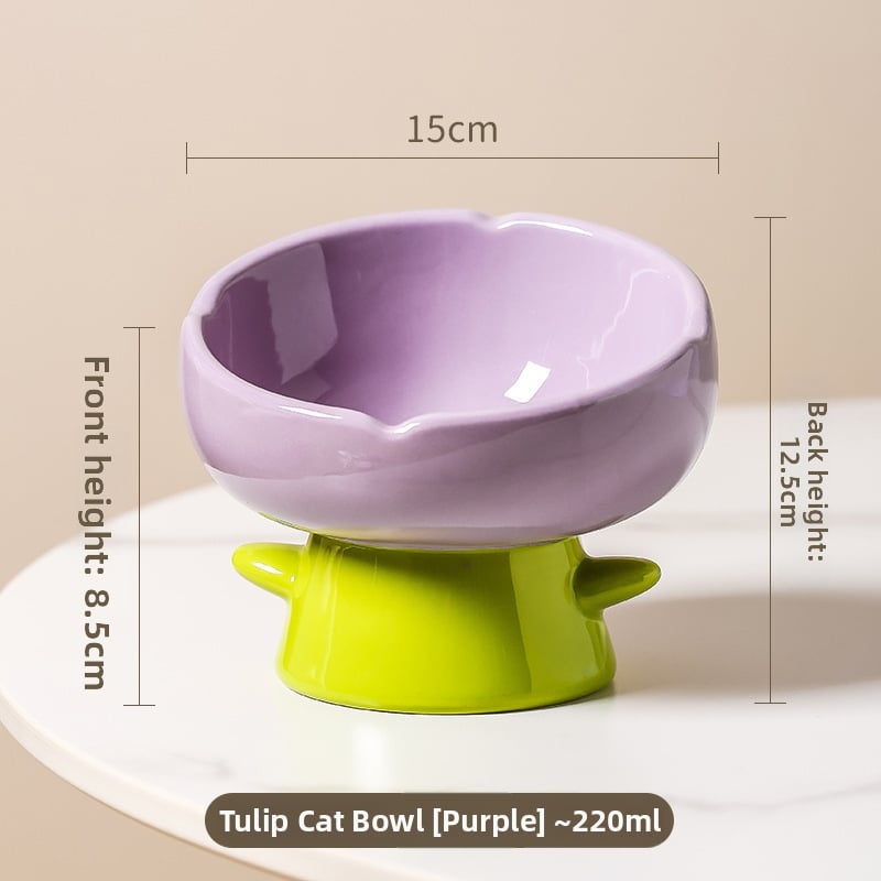 Κεραμικό μπολ για γάτες για φαγητό και νερό, με ανυψωμένη βάση για σταθερότητα και κεκλιμένο χείλος για άνεση — σετ 2 τεμάχια