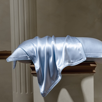 Fețe de pernă din mătase Mulberry, 40 momme, 6A, 100% mătase, țesătură simplă, vopsire reactive, stil modern minimalist, set de două