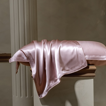 Fețe de pernă din mătase Mulberry, 40 momme, 6A, 100% mătase, țesătură simplă, vopsire reactive, stil modern minimalist, set de două