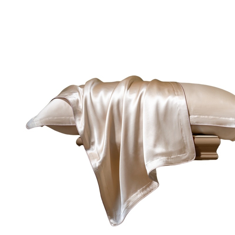 Fețe de pernă din mătase Mulberry, 40 momme, 6A, 100% mătase, țesătură simplă, vopsire reactive, stil modern minimalist, set de două