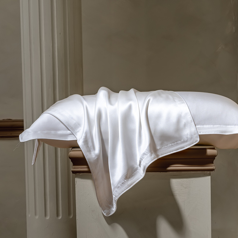 Fețe de pernă din mătase Mulberry, 40 momme, 6A, 100% mătase, țesătură simplă, vopsire reactive, stil modern minimalist, set de două