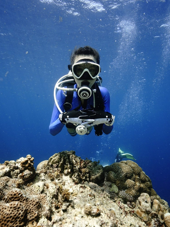 D5 niršanas cimdi ar saules aizsardzību – Modelis D5, Materiāls: Cits, Zīmols: Cits, Piemērots brīvajai niršanai un sērfošanai