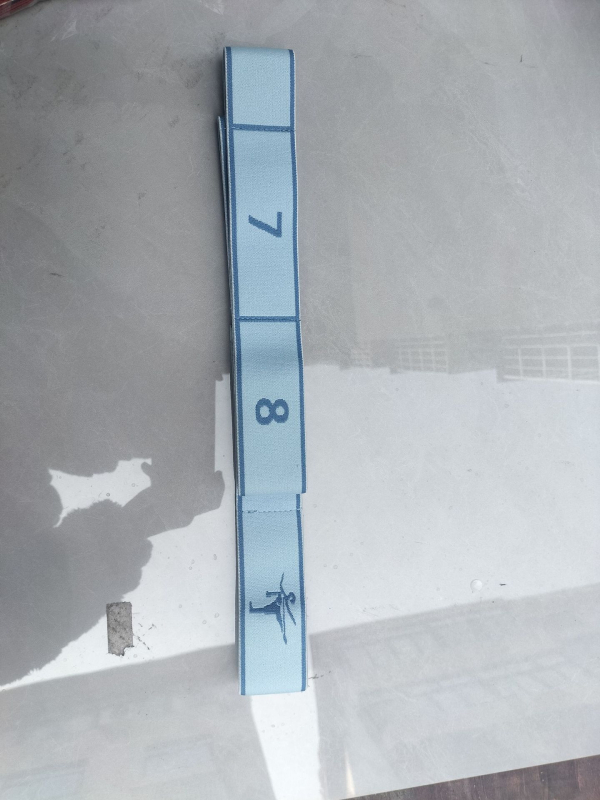 Elastični pojas za jogu i pilates — istezanje leđa, plesno istezanje, kućni trening za žene, pojas za trening (Materijal: Drugo; Značka: Flying sword)