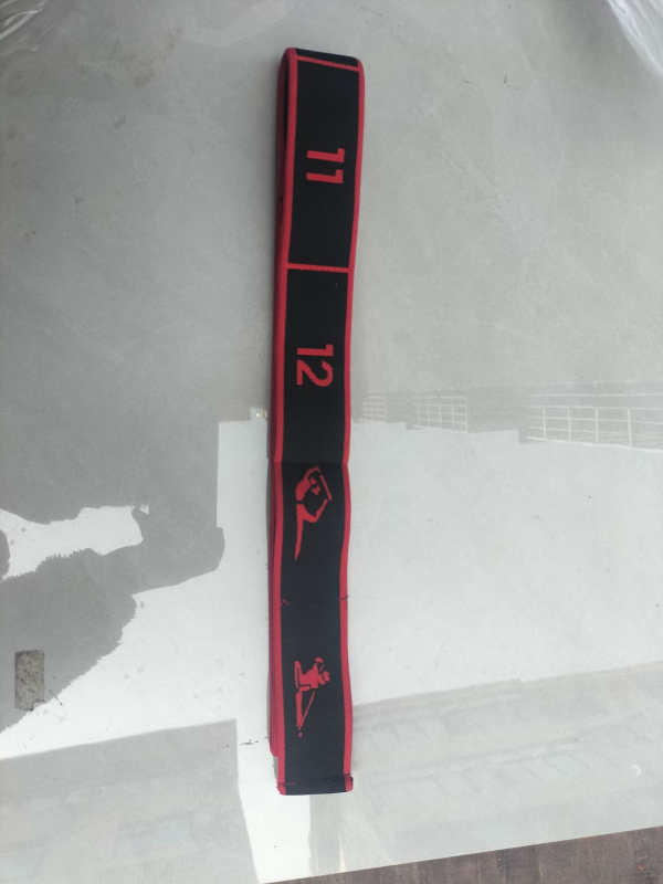 Elastični pojas za jogu i pilates — istezanje leđa, plesno istezanje, kućni trening za žene, pojas za trening (Materijal: Drugo; Značka: Flying sword)