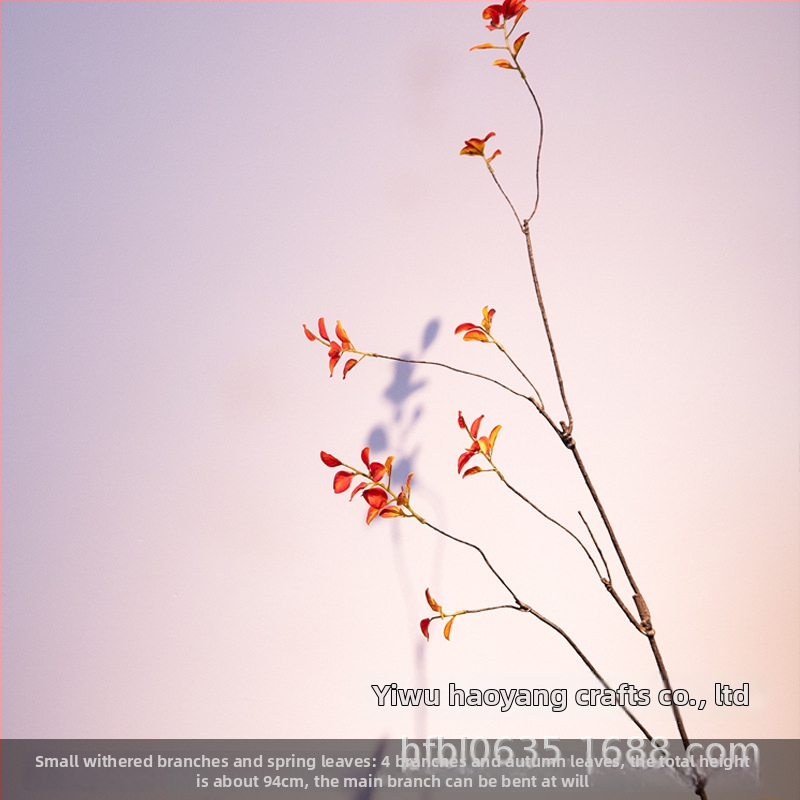 Glazēta keramikas vāze ķīniešu stilā