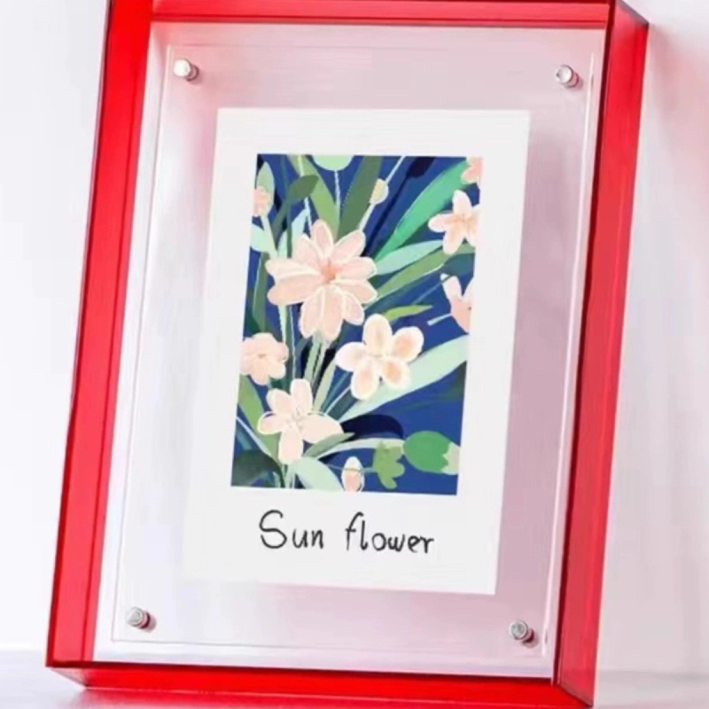 Plastmasas fotogrāfiju rāmis, taisnstūra formā, aizsargā gleznas