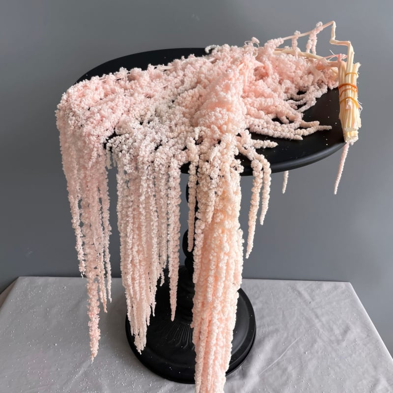 Laulību dekori ar mūžīgu ziedu materiālu — Advanced Flowers, SKU 21807415855, Materiāls: Mūžīgais zieds, Izcelsme: Yunnan