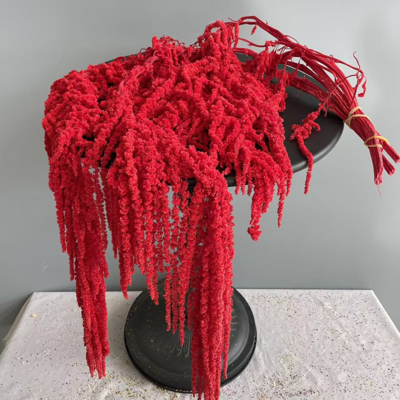 Laulību dekori ar mūžīgu ziedu materiālu — Advanced Flowers, SKU 21807415855, Materiāls: Mūžīgais zieds, Izcelsme: Yunnan