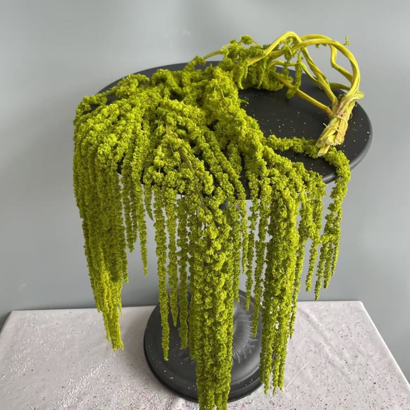 Laulību dekori ar mūžīgu ziedu materiālu — Advanced Flowers, SKU 21807415855, Materiāls: Mūžīgais zieds, Izcelsme: Yunnan