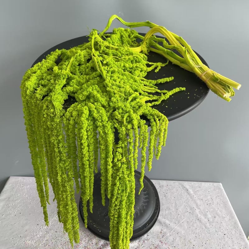 Laulību dekori ar mūžīgu ziedu materiālu — Advanced Flowers, SKU 21807415855, Materiāls: Mūžīgais zieds, Izcelsme: Yunnan