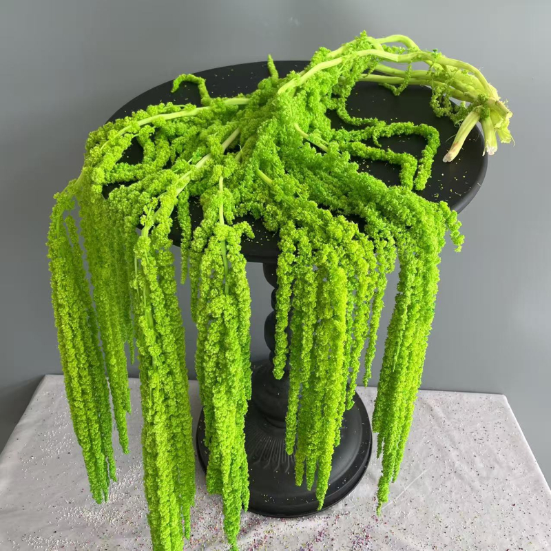 Laulību dekori ar mūžīgu ziedu materiālu — Advanced Flowers, SKU 21807415855, Materiāls: Mūžīgais zieds, Izcelsme: Yunnan