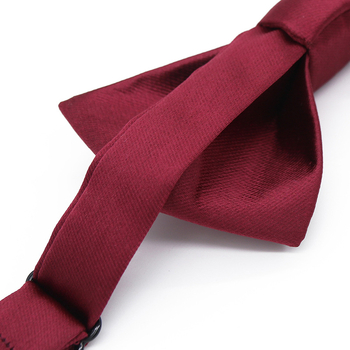 Pointed Jacquard leptir-mašna, Poliester, Uzorak: Solid, Unisex, Neovisna ambalaža