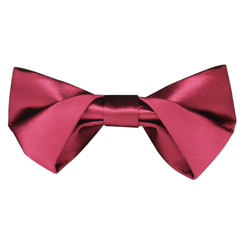Pointed Jacquard leptir-mašna, Poliester, Uzorak: Solid, Unisex, Neovisna ambalaža