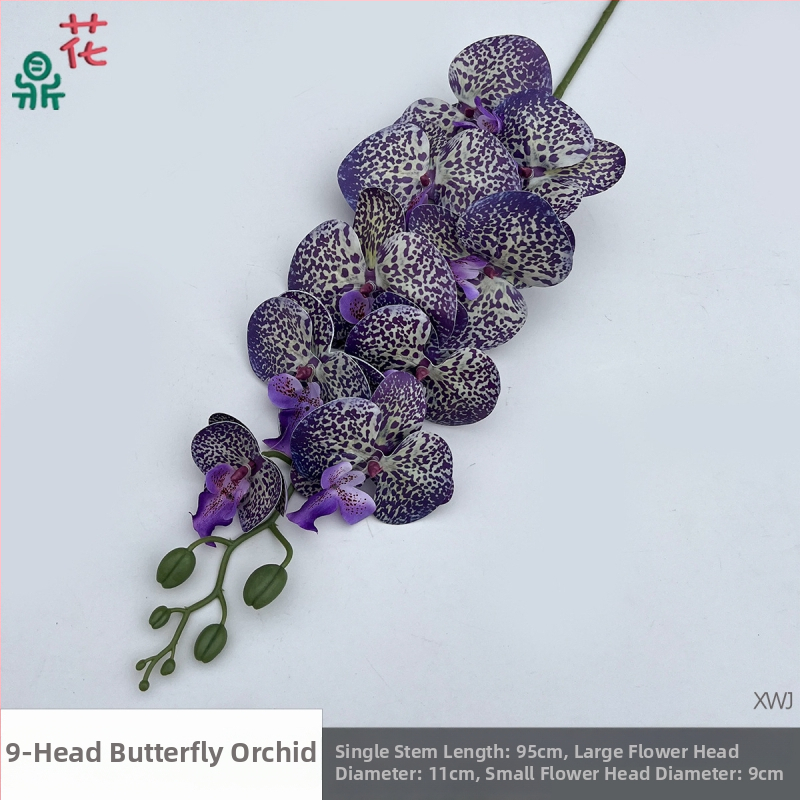 Šilkinė Phalaenopsis orchidėja — 3D studijos fotografavimo rekvizitai, stilizavimas ir reljefinė apdaila, namų dekoras