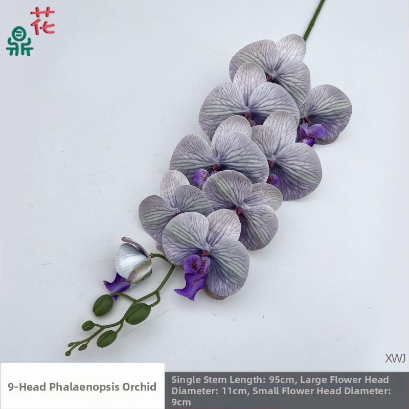 Šilkinė Phalaenopsis orchidėja — 3D studijos fotografavimo rekvizitai, stilizavimas ir reljefinė apdaila, namų dekoras