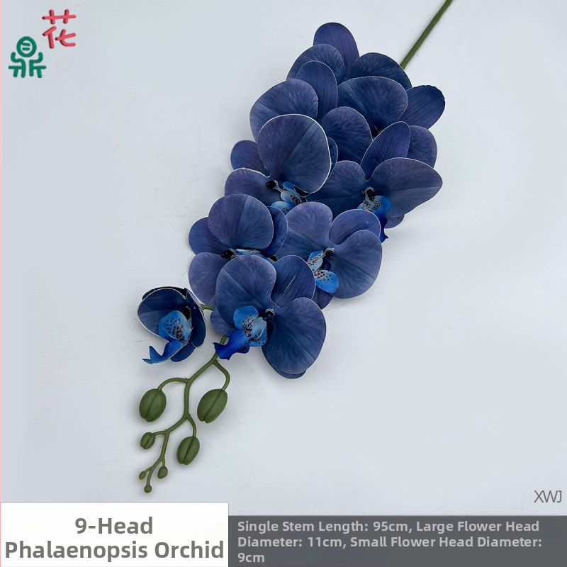 Šilkinė Phalaenopsis orchidėja — 3D studijos fotografavimo rekvizitai, stilizavimas ir reljefinė apdaila, namų dekoras