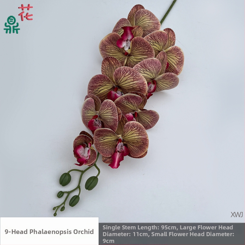 Šilkinė Phalaenopsis orchidėja — 3D studijos fotografavimo rekvizitai, stilizavimas ir reljefinė apdaila, namų dekoras