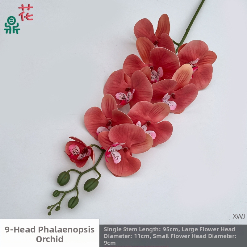 Šilkinė Phalaenopsis orchidėja — 3D studijos fotografavimo rekvizitai, stilizavimas ir reljefinė apdaila, namų dekoras