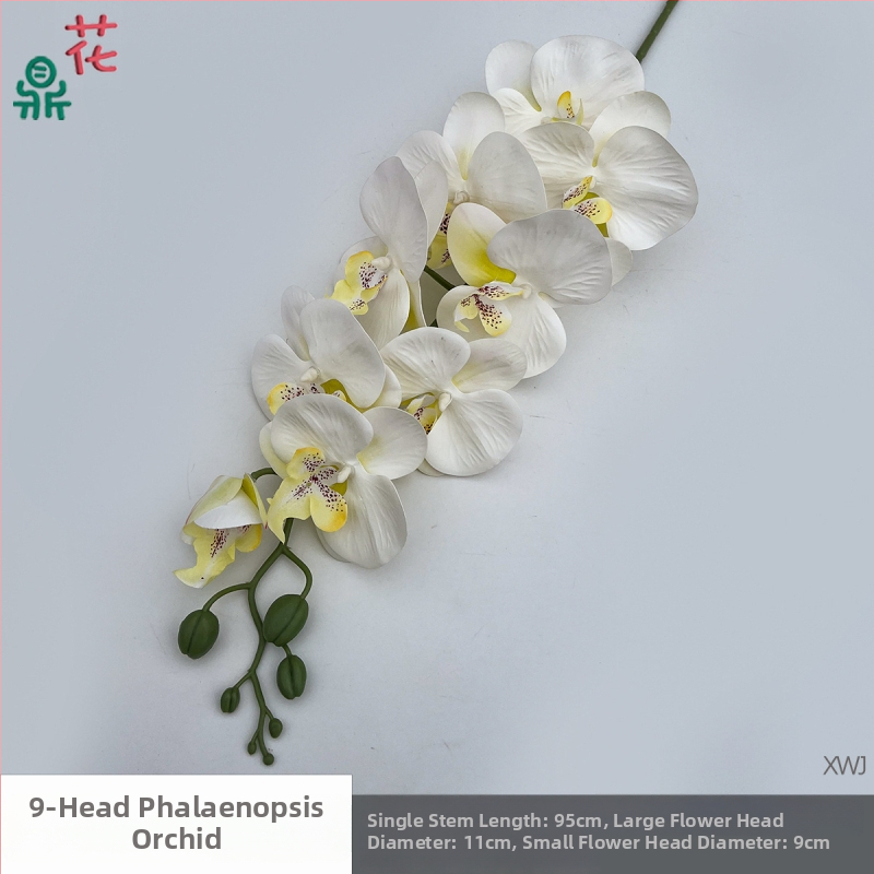 Šilkinė Phalaenopsis orchidėja — 3D studijos fotografavimo rekvizitai, stilizavimas ir reljefinė apdaila, namų dekoras