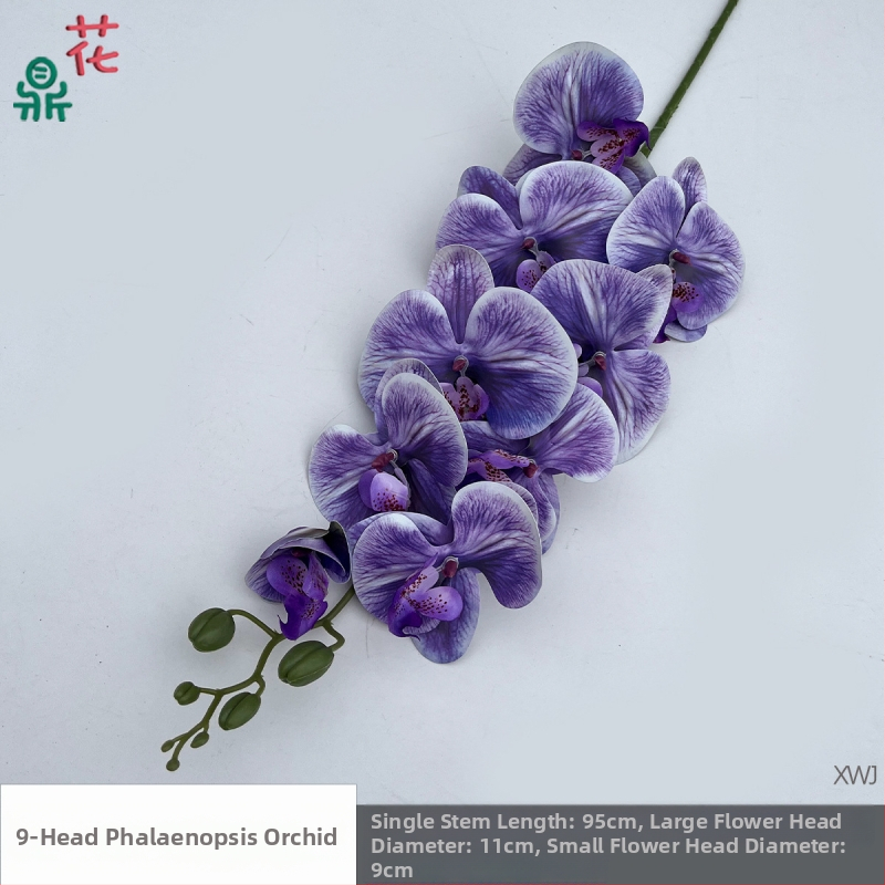 Šilkinė Phalaenopsis orchidėja — 3D studijos fotografavimo rekvizitai, stilizavimas ir reljefinė apdaila, namų dekoras