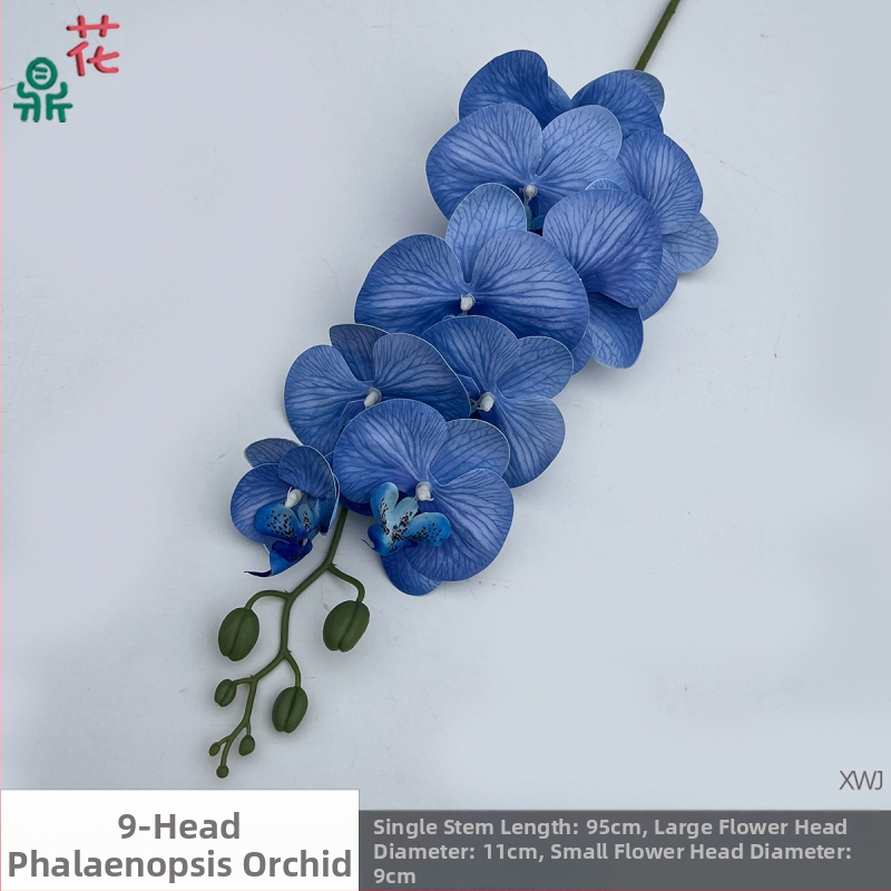 Šilkinė Phalaenopsis orchidėja — 3D studijos fotografavimo rekvizitai, stilizavimas ir reljefinė apdaila, namų dekoras