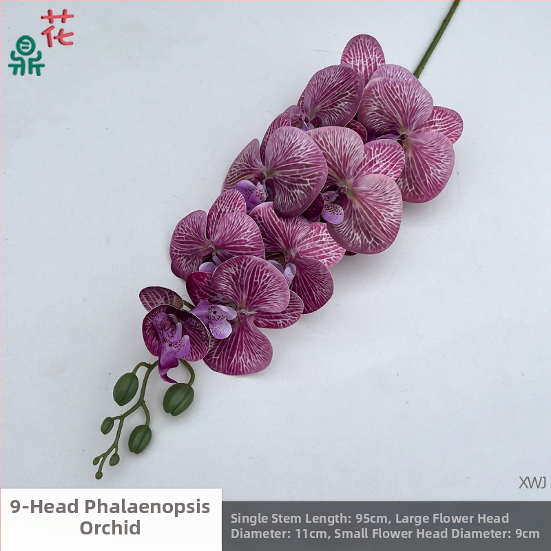 Šilkinė Phalaenopsis orchidėja — 3D studijos fotografavimo rekvizitai, stilizavimas ir reljefinė apdaila, namų dekoras