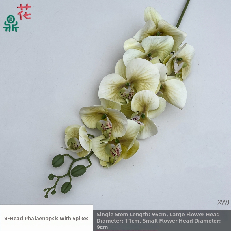 Šilkinė Phalaenopsis orchidėja — 3D studijos fotografavimo rekvizitai, stilizavimas ir reljefinė apdaila, namų dekoras