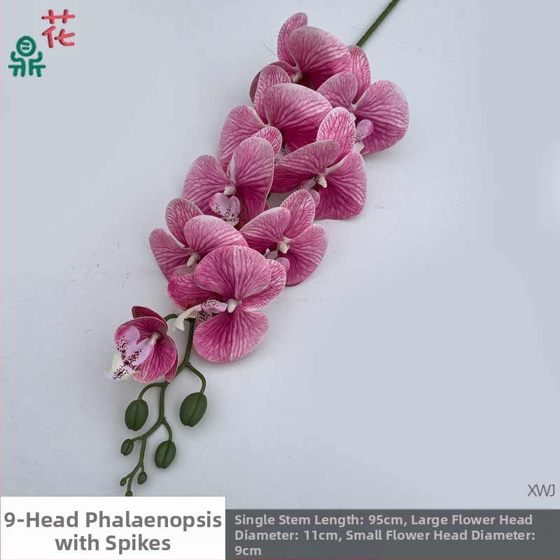 Šilkinė Phalaenopsis orchidėja — 3D studijos fotografavimo rekvizitai, stilizavimas ir reljefinė apdaila, namų dekoras