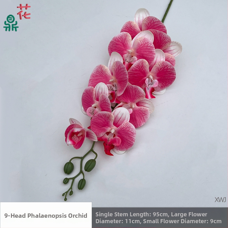 Šilkinė Phalaenopsis orchidėja — 3D studijos fotografavimo rekvizitai, stilizavimas ir reljefinė apdaila, namų dekoras