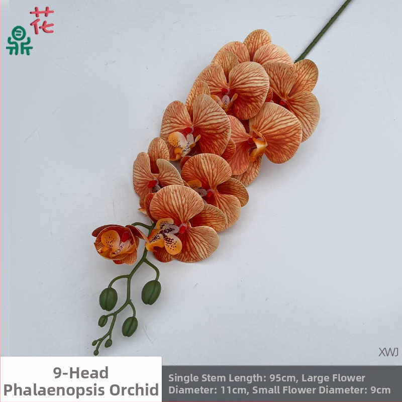 Šilkinė Phalaenopsis orchidėja — 3D studijos fotografavimo rekvizitai, stilizavimas ir reljefinė apdaila, namų dekoras