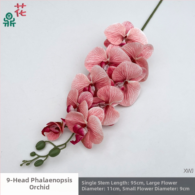 Šilkinė Phalaenopsis orchidėja — 3D studijos fotografavimo rekvizitai, stilizavimas ir reljefinė apdaila, namų dekoras