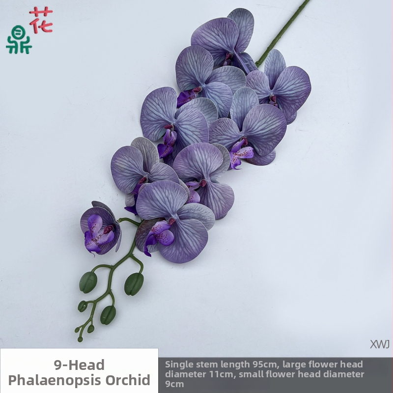 Šilkinė Phalaenopsis orchidėja — 3D studijos fotografavimo rekvizitai, stilizavimas ir reljefinė apdaila, namų dekoras