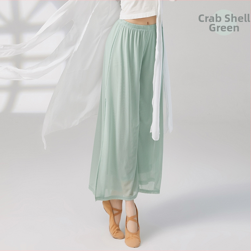 Sieviešu Water Yarn plašās deju bikses, piemērotas klasiskajam un modernajam dejām, 95% neilons