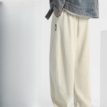 Vīriešu kokvilnas bikses ar taisnu piegriezumu, vidējā josta, aizdare ar auklu, mikroelastīgas