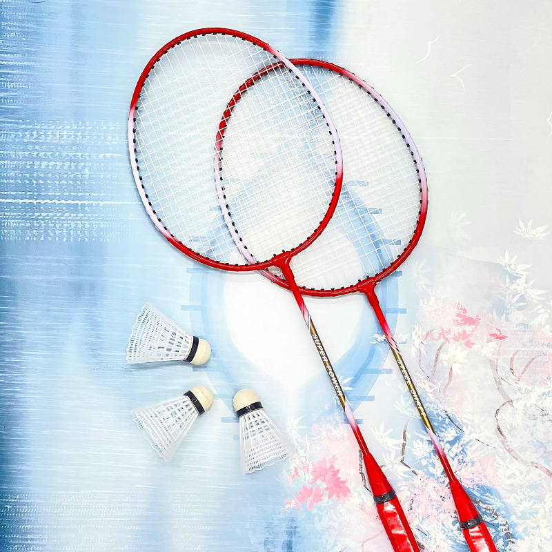 Set de 2 rachete badminton ultra-ușoare, pentru adulți și elevi, cadru din aliaj de fier, fire din nailon, pentru amatori