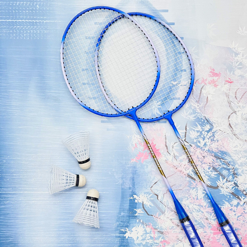 Set de 2 rachete badminton ultra-ușoare, pentru adulți și elevi, cadru din aliaj de fier, fire din nailon, pentru amatori