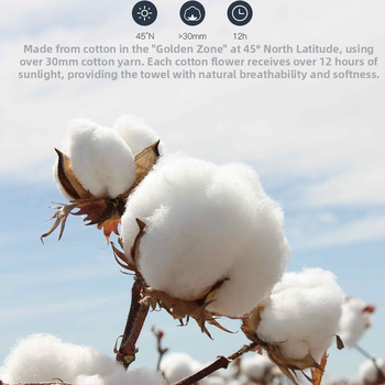 Medvilninis rankšluosčių pledas, pastoraliu stiliumi