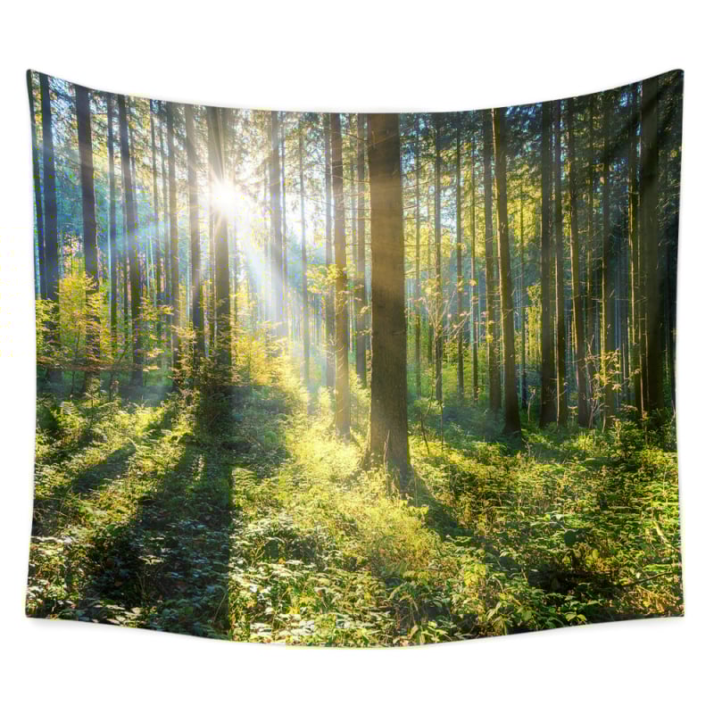 Zidni tapiser od poliesterskih vlakana, sadržaj glavnog sastojka 91–100%, digitalni termalni prijenos, kvadratni oblik, uzorak: lik