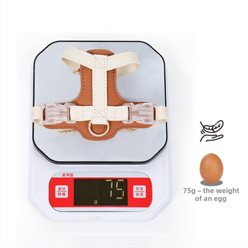 Комплект за кучета и котки: регулируем нашийник и каишка, Cortex материя, Leisure стил, универсално предназначение, за всички сезони