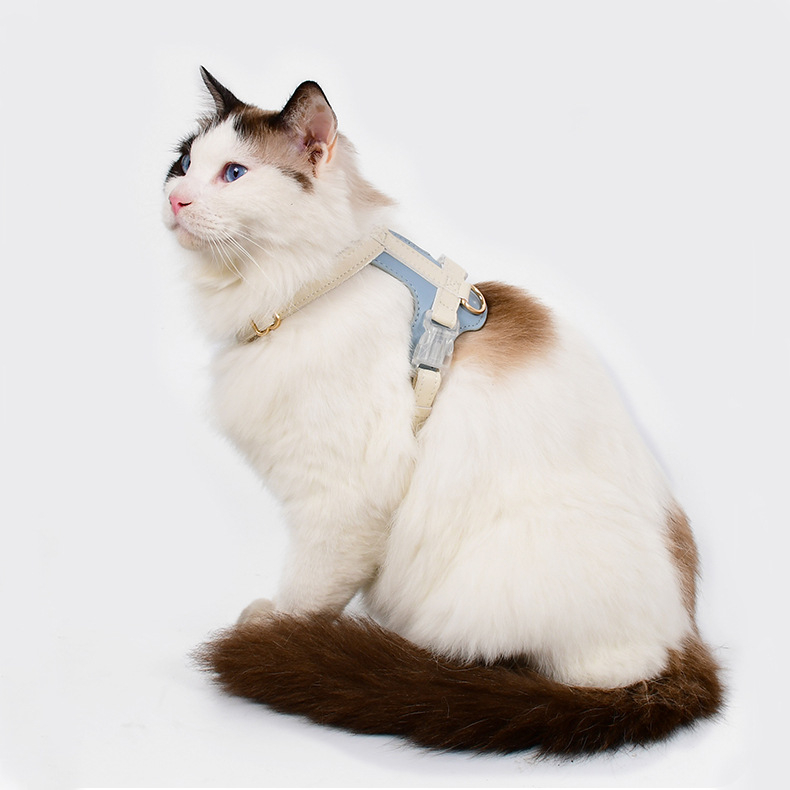 Комплект за кучета и котки: регулируем нашийник и каишка, Cortex материя, Leisure стил, универсално предназначение, за всички сезони