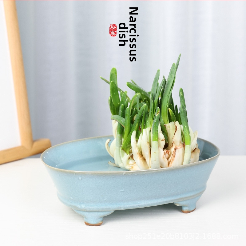 Keraminė narcizų vazonėlis, skirtas stalinei arba grindų naudojimui, paprastas stilius, rankų darbas ir išdegintas