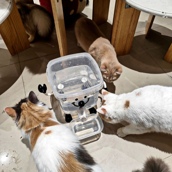 Αυτόματος διανομέας νερού για γάτες, πλαστικό, αυτόματη τροφοδοσία: Ναι, για γάτες, μη έξυπνο, συσκευασία 10 τεμάχια