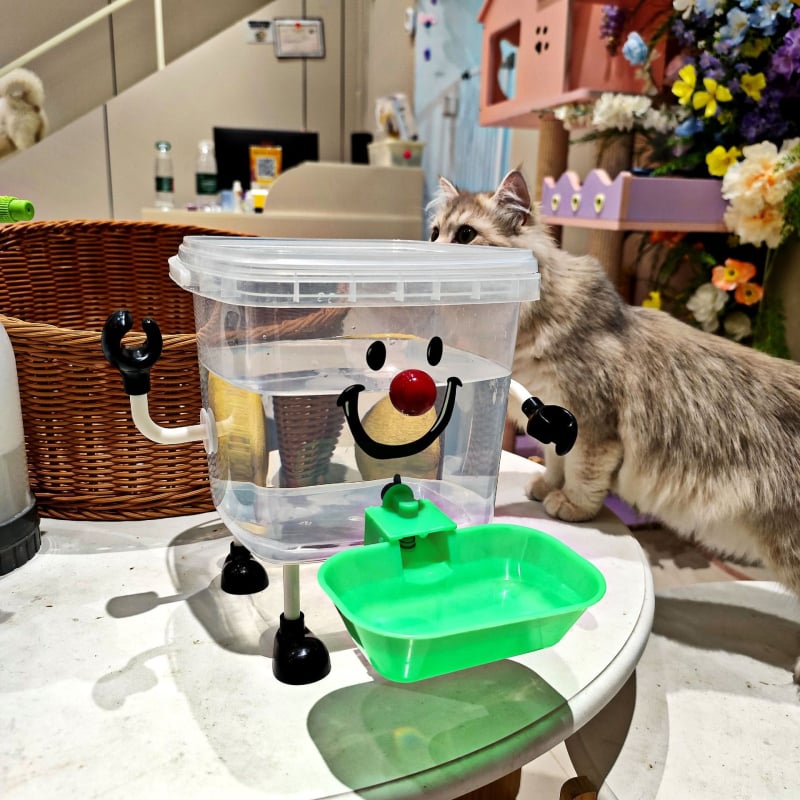 Αυτόματος διανομέας νερού για γάτες, πλαστικό, αυτόματη τροφοδοσία: Ναι, για γάτες, μη έξυπνο, συσκευασία 10 τεμάχια
