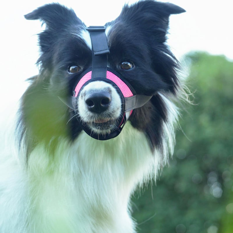 Нейлонов музул за кучета със защита срещу ухапване, облизване и лаене — Shiranui