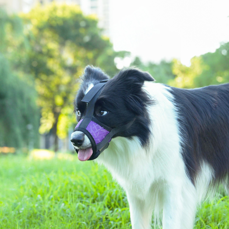 Нейлонов музул за кучета със защита срещу ухапване, облизване и лаене — Shiranui