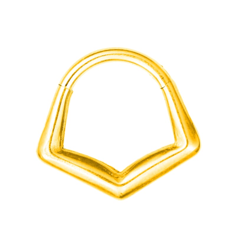 Nosni prsten od 316 nerđajućeg čelika s šarkom, motiv bodljivog konusnog cvijeta i mreže pauka, elektroplatirano, unisex