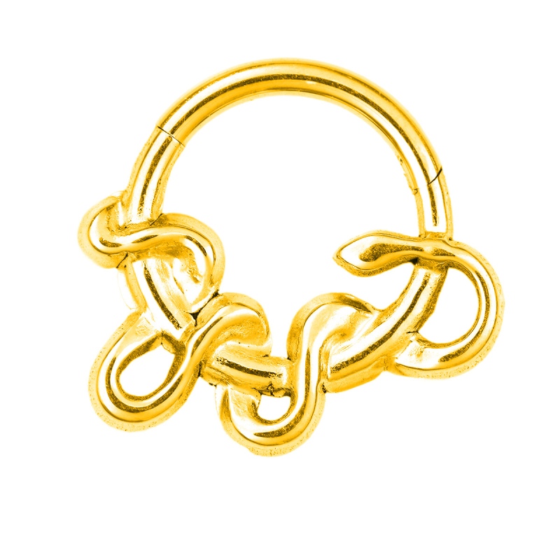 Nosni prsten od 316 nerđajućeg čelika s šarkom, motiv bodljivog konusnog cvijeta i mreže pauka, elektroplatirano, unisex