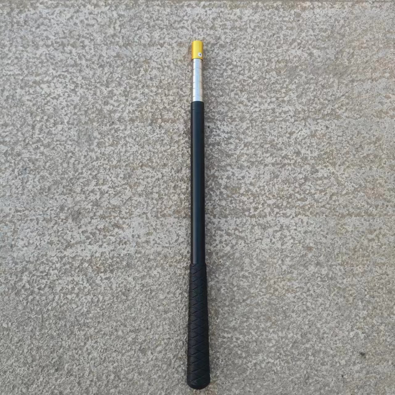Plasă de pescuit telescopic pentru copii, ABS rășină + oțel inoxidabil, pentru exterior