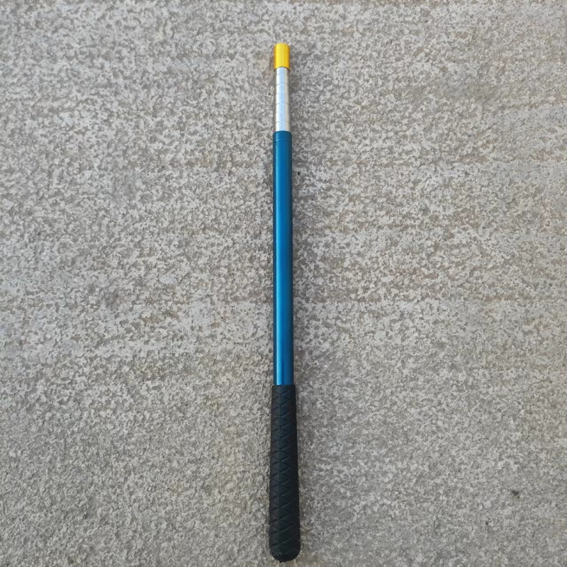 Plasă de pescuit telescopic pentru copii, ABS rășină + oțel inoxidabil, pentru exterior